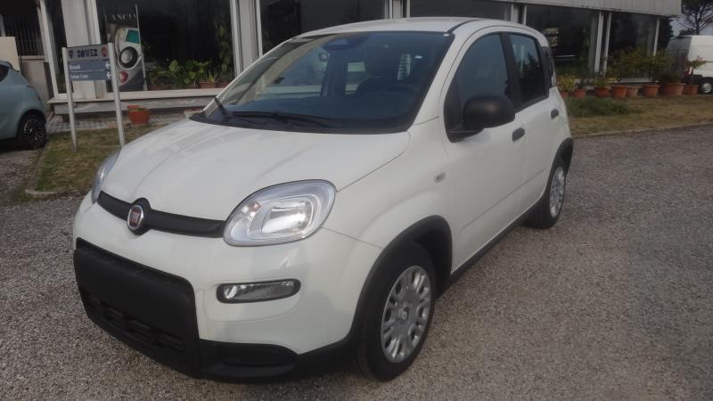 Auto usate Portogruaro
